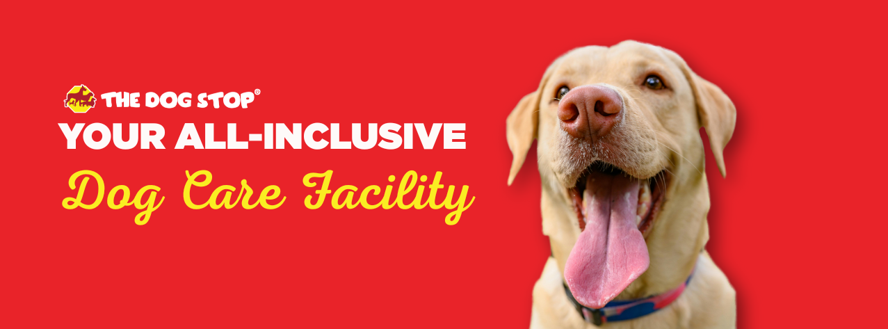 The Dog Stop Dog Care Facility Logo